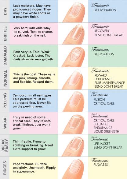 measurement thickness of fingernail|do skeletons have fingernails.